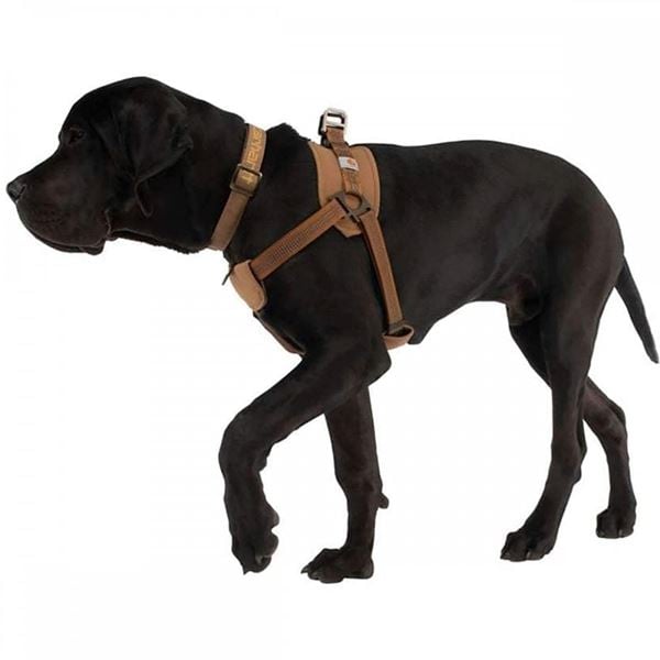 Carhartt P000341 Dog Training Harness