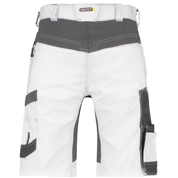 Dassy Axis Painters Stretch Shorts