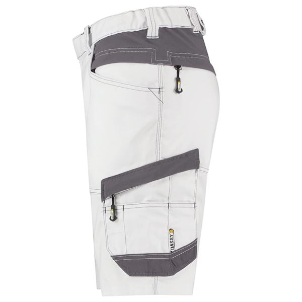 Dassy Axis Womens Stretch Painters Shorts