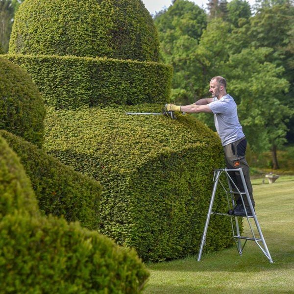 Hendon Tripod Fruit Ladder