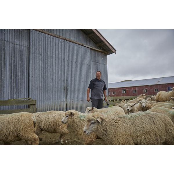 Betacraft 6501 Quest Fleece T