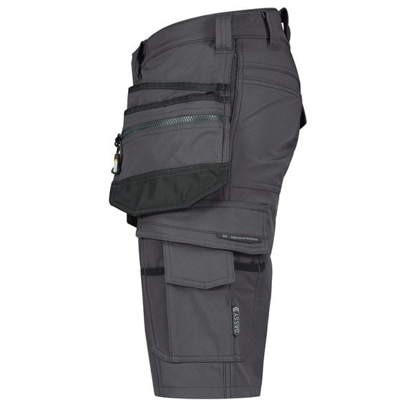 Dassy Aurax stretch shorts