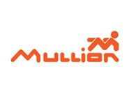 Mullion 