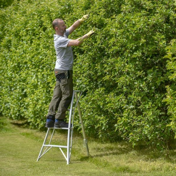 Hendon Tripod Fruit Ladder