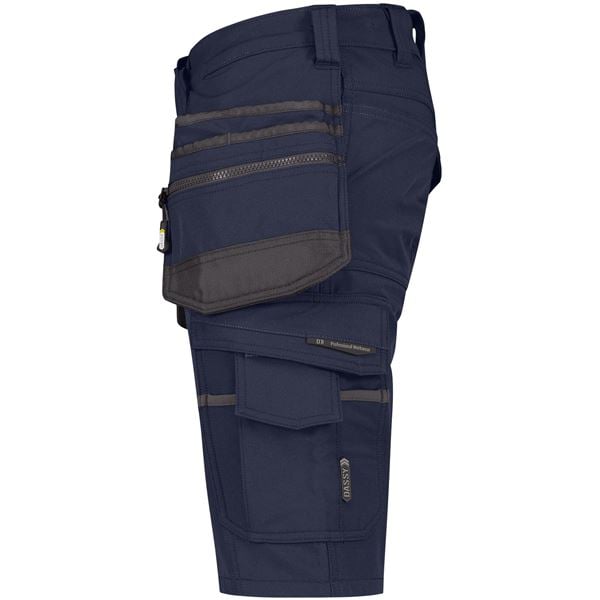 Dassy Aurax stretch shorts