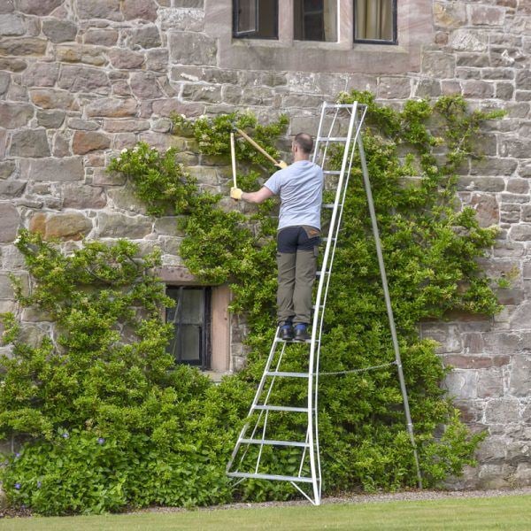 Hendon Tripod Fruit Ladder