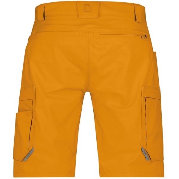 Dassy Zion Work Shorts