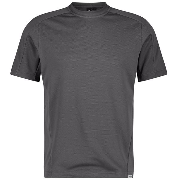 Dassy Fuji T-shirt